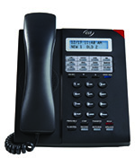 ESI 30D Business Phone